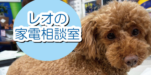 第一家電 レオの家電相談室