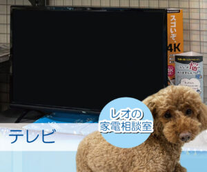 第一家電 レオの相談室　テレビ
