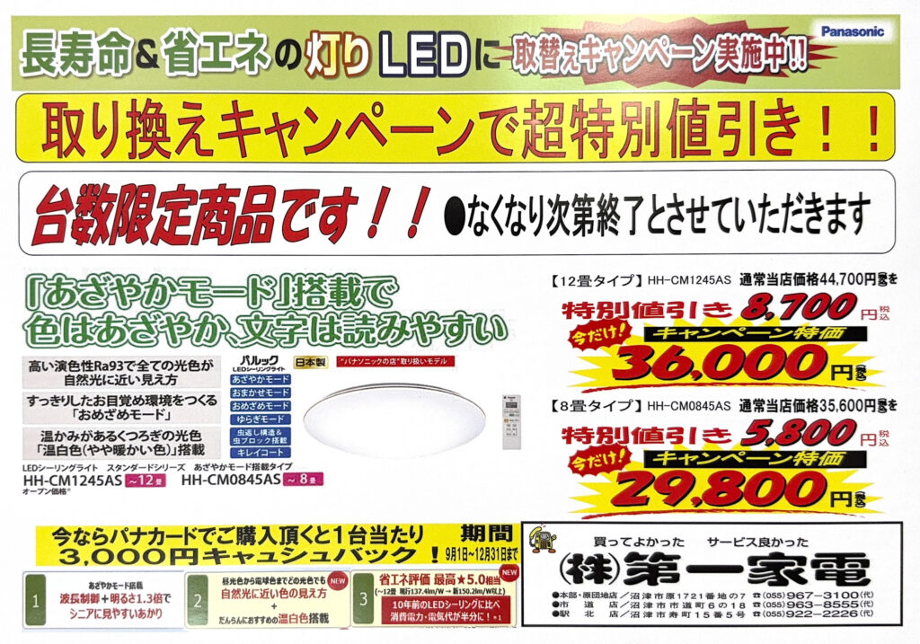 2025 新着チラシ