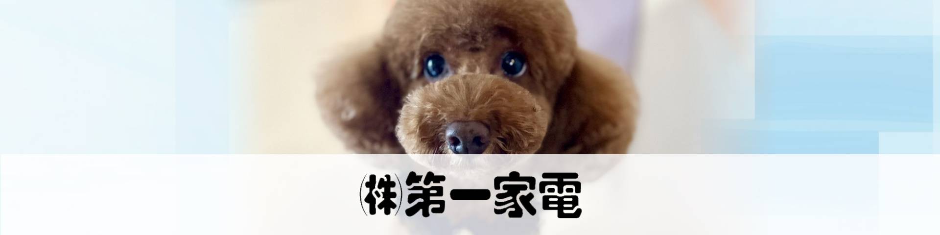 第一家電 TOP